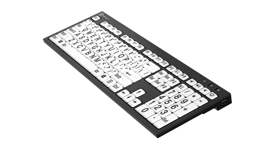 LogicKeyboard Braille and Largeprint - PC Nero Keyboard LKB-BRALPBW-BJPU-US