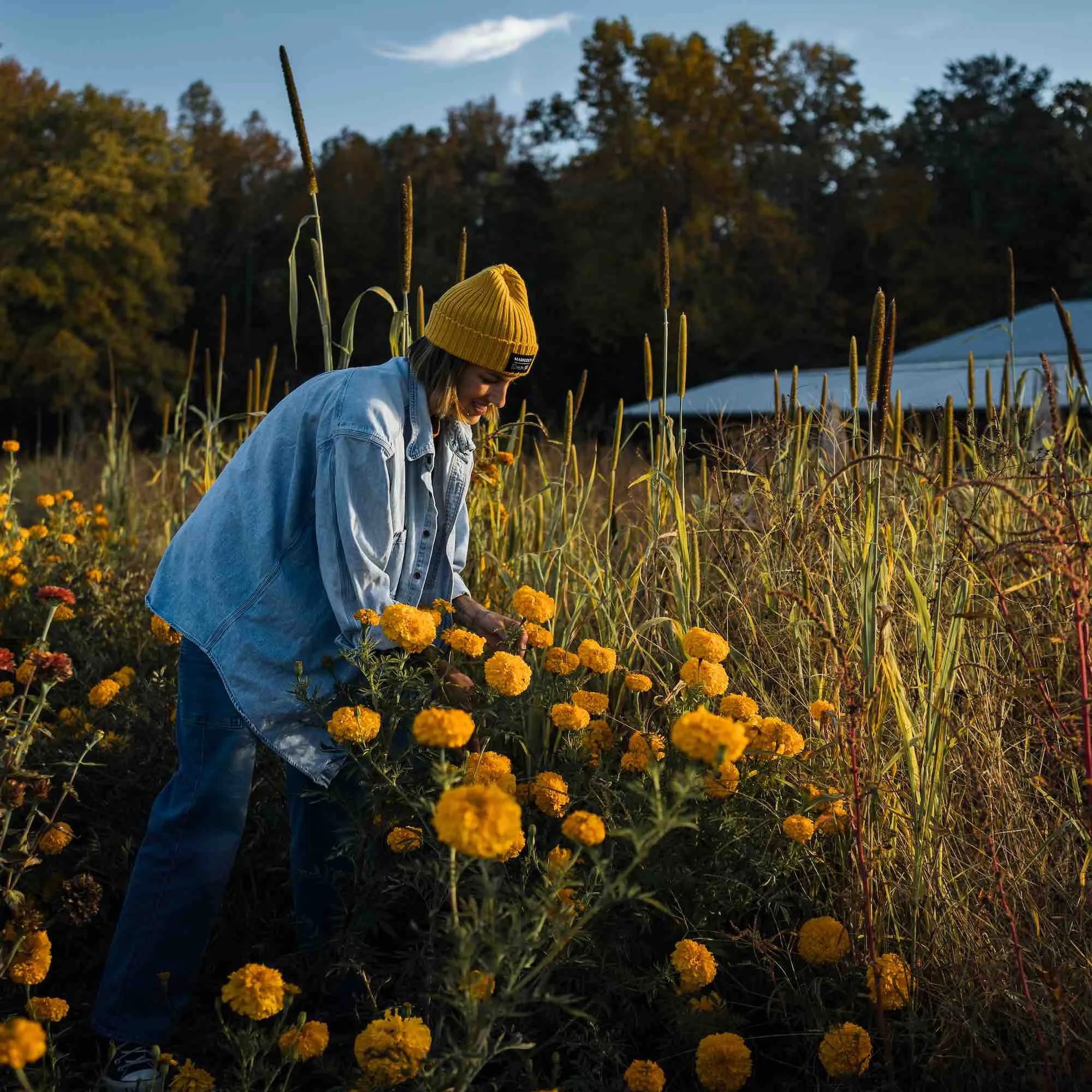 Marigold Beanie