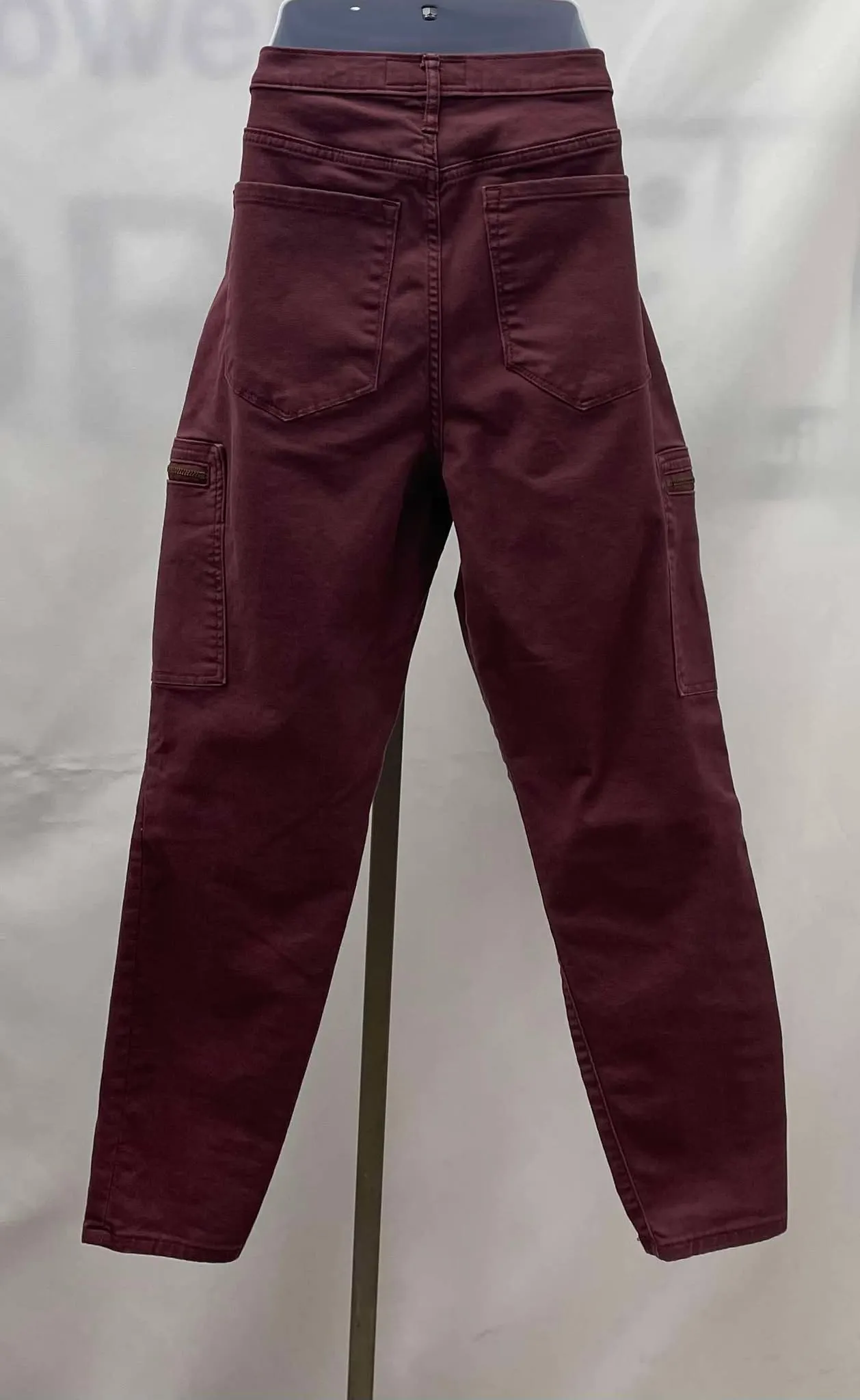 Men's Banana Republic Cargo Pants, 29