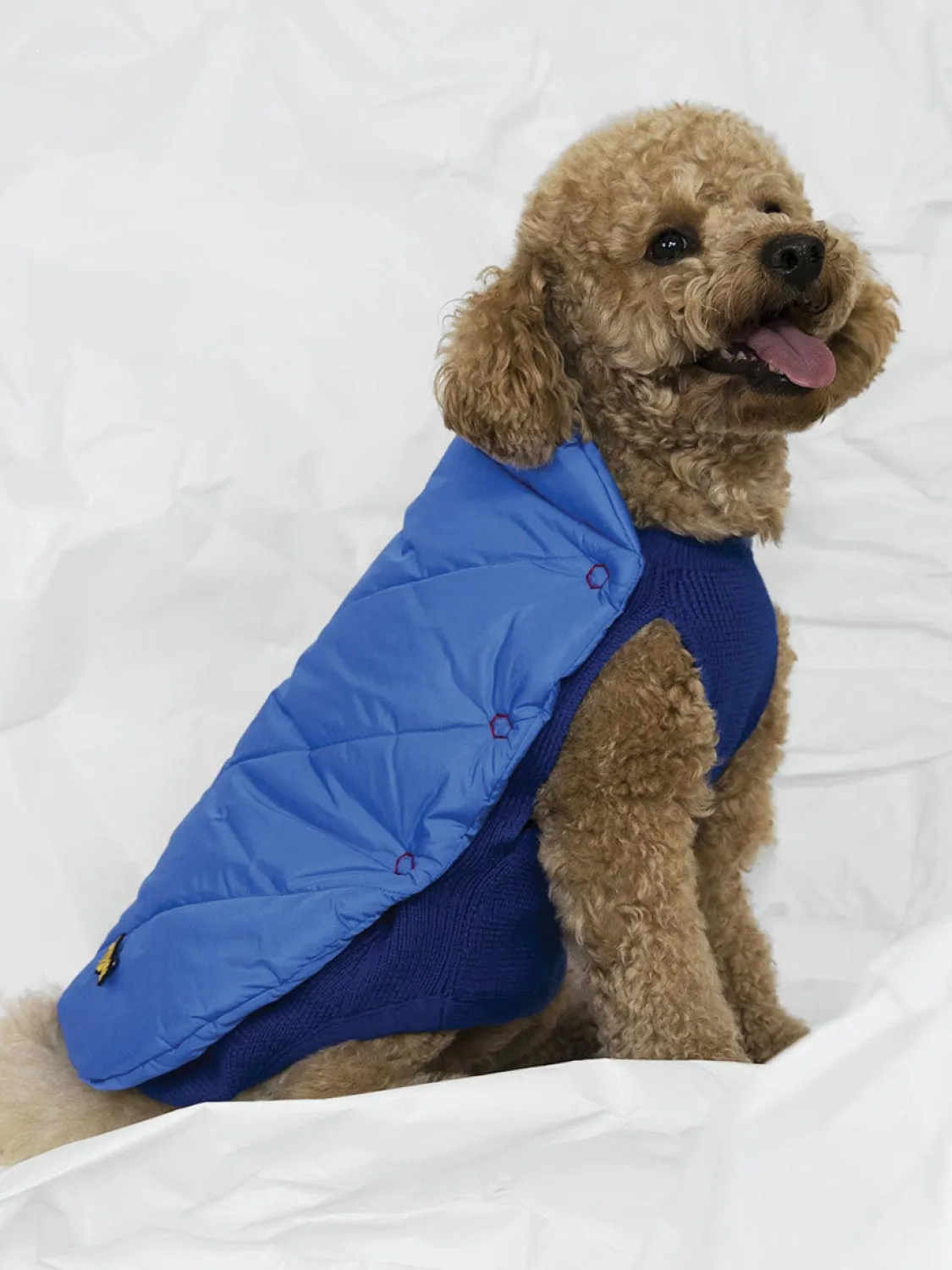 Poldo Dog Couture Reversible Coat Blue