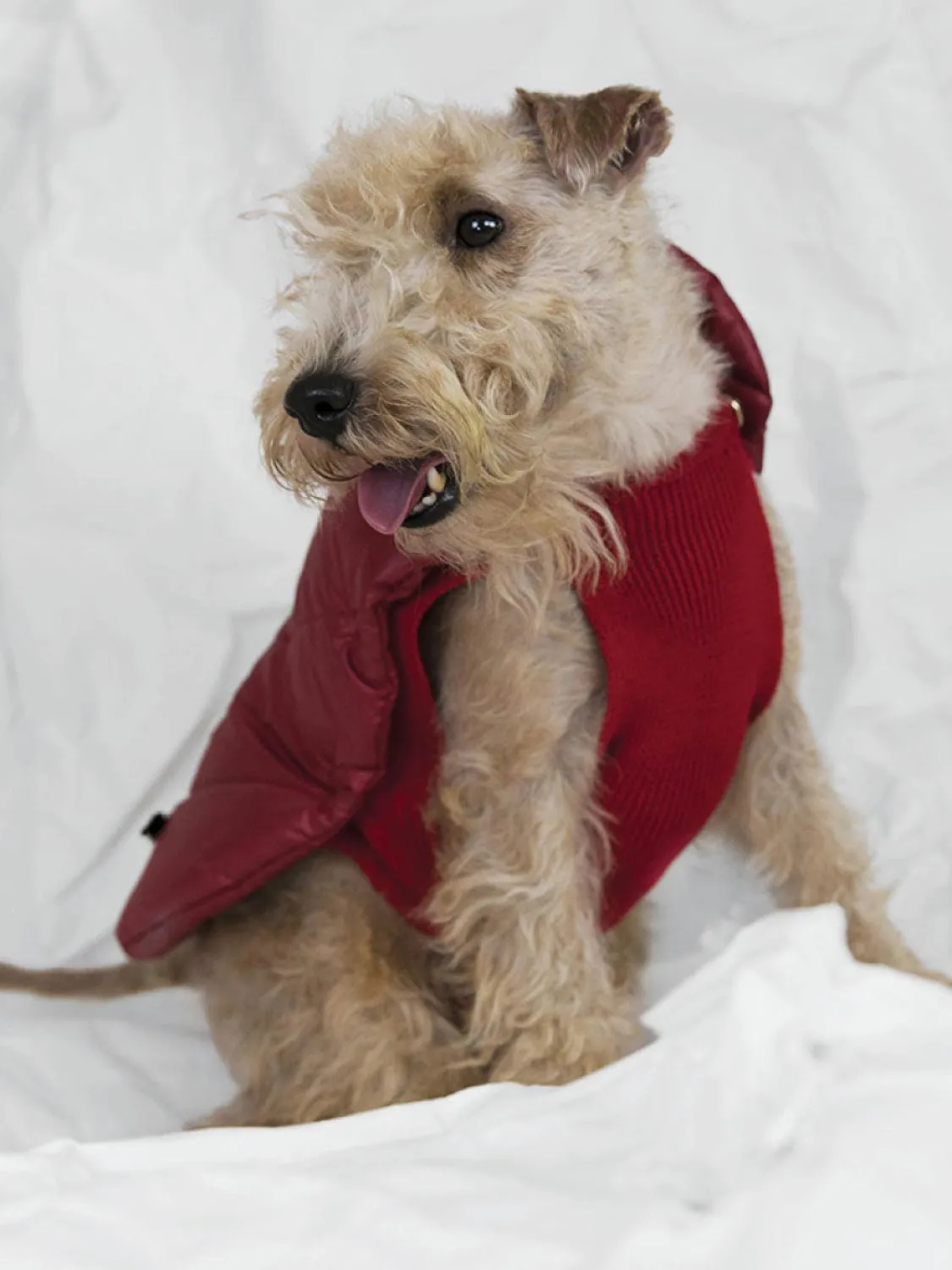 Poldo Dog Couture Reversible Coat Red